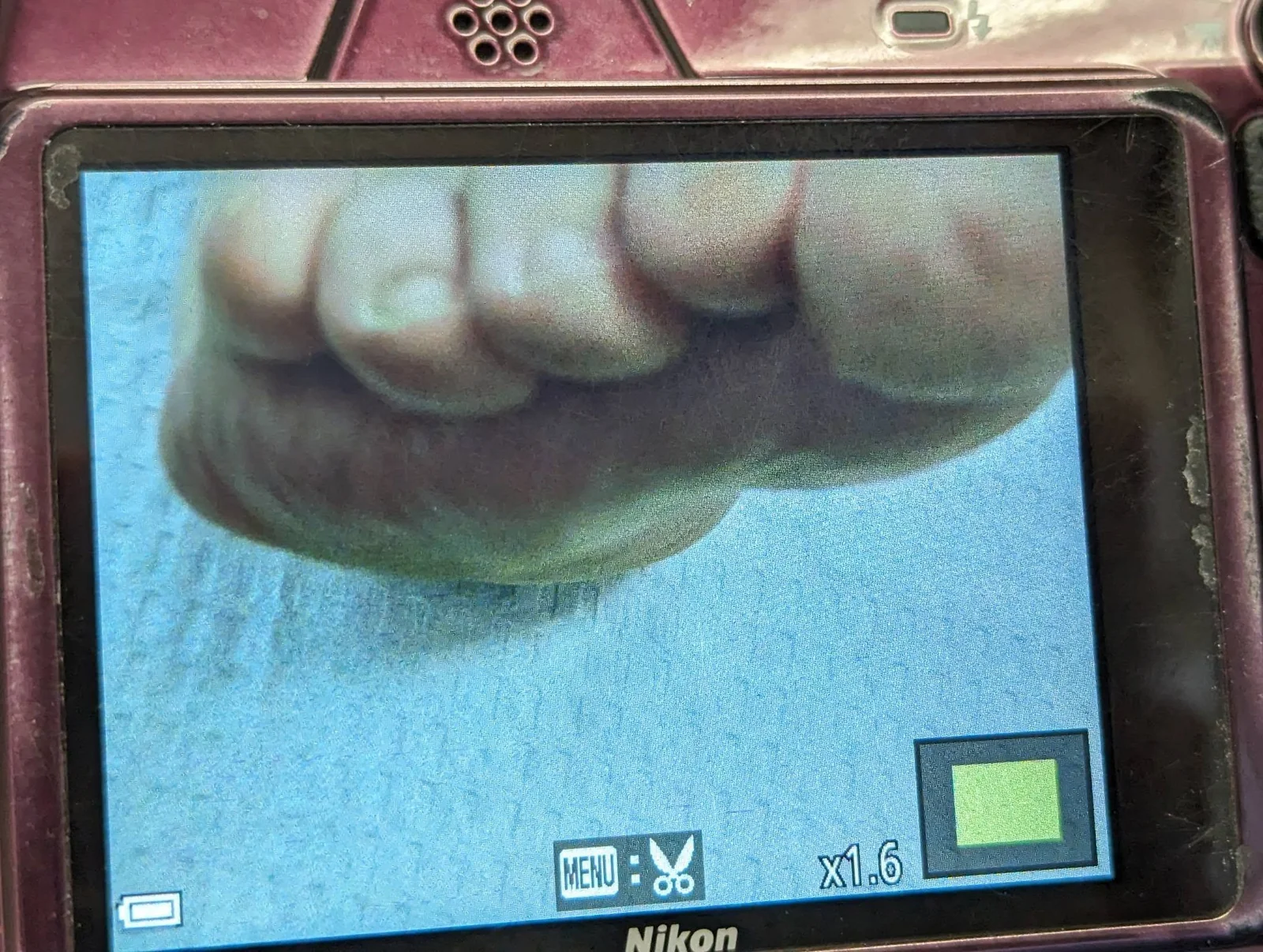 May be an image of 1 person and text that says 'MENU συ x1.6 Nikon'